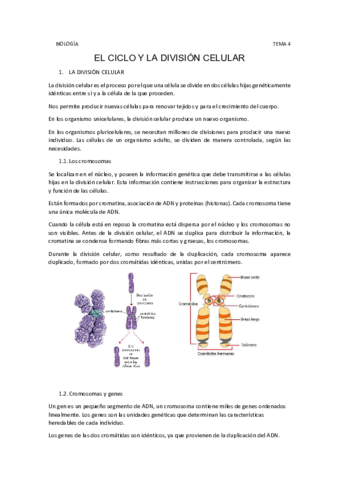 Tema-4.pdf