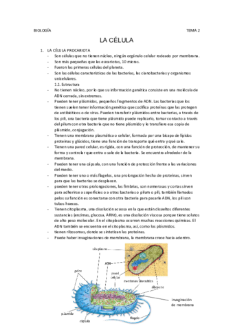 Tema-3.pdf