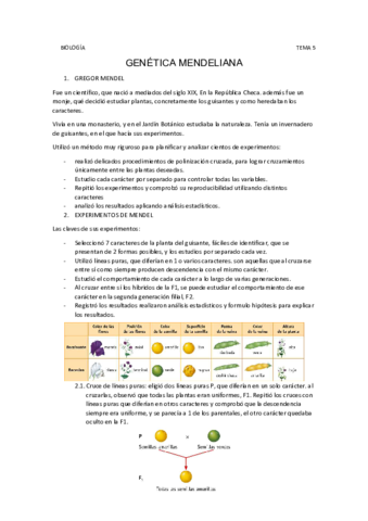 Tema-5.pdf