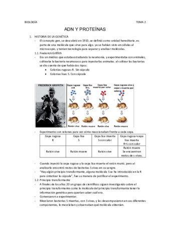 Tema-2.pdf