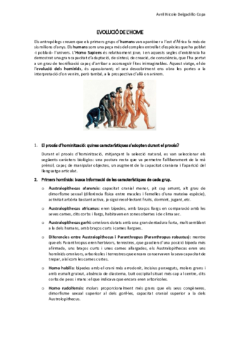 Home-evolucio.pdf