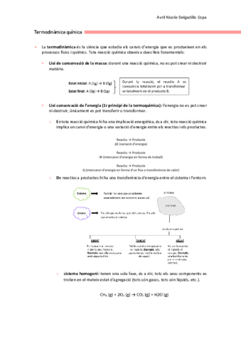 Termoquimica.pdf