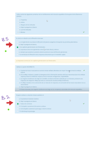 Preguntas-Examen-2020-modelo-1.pdf