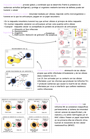 La-Respuesta-Inmunitaria.pdf