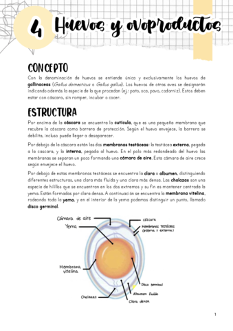 Tema-4.pdf