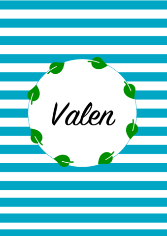 PORTADA-VALEN.pdf