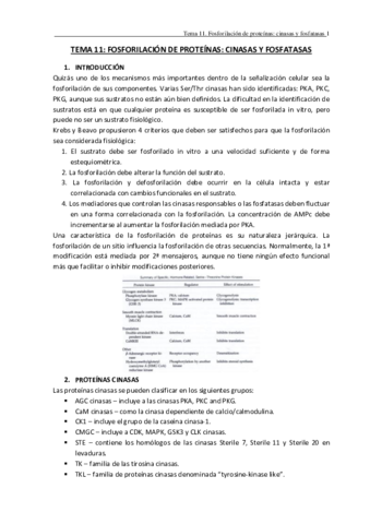TEMA-11.pdf