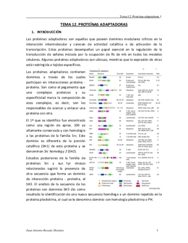 TEMA-12.pdf