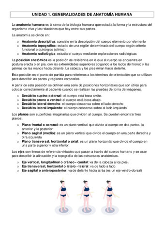 TEMA-1-GENERALIDADES-DE-ANATOMIA-HUMANA.pdf