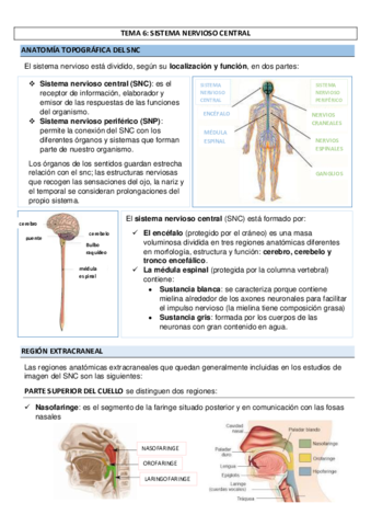 TEMA-6-SISTEMA-NERVIOSO-CENTRAL.pdf