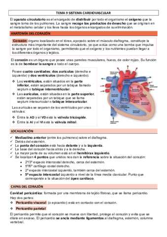 TEMA-9-SISTEMA-CARDIOVASCULAR.pdf