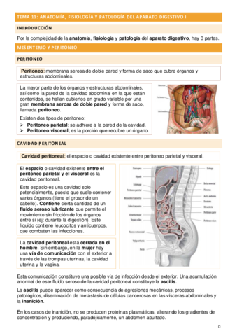 TEMA-11-ANATOMIA-FISIOLOGIA-Y-PATOLOGIA-DEL-APARATO-DIGESTIVO-I.pdf