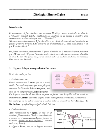 Citologia-ginecologica-tema-1-final.pdf