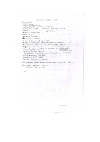 Teoria-Examenes-Anteriores-1.pdf