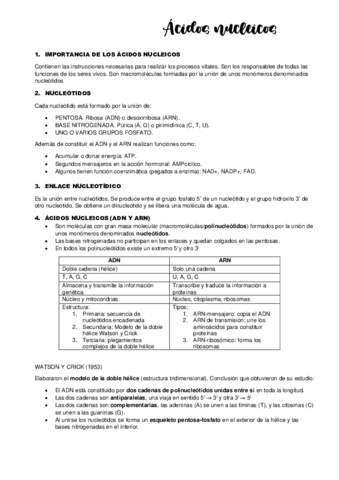 TEMA-5.pdf