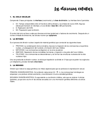 TEMA-10.pdf