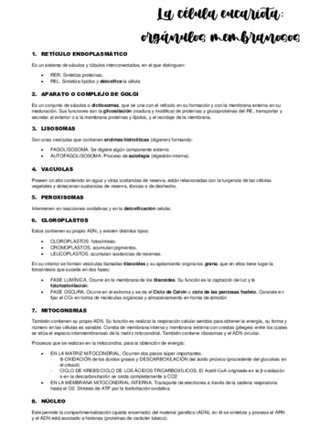 TEMA-8.pdf
