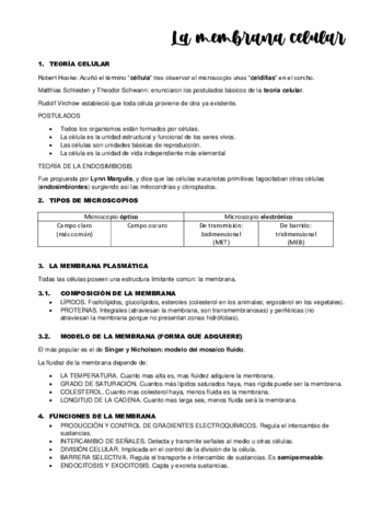 TEMA-6.pdf