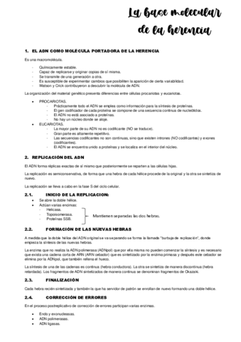 TEMA-16.pdf