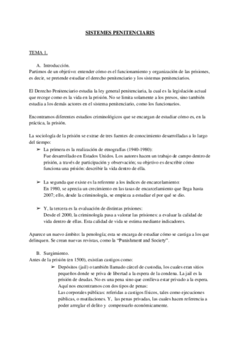 SISTEMES-PENITENCIARIS.pdf