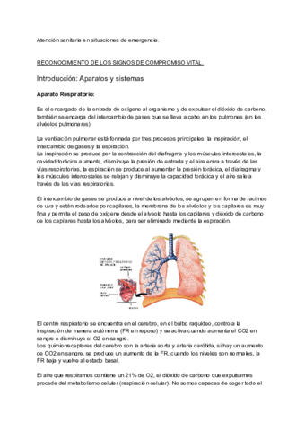 RECONOCIMIENTO-DE-LOS-SIGNOS-DE-COMPROMISO-VITAL.pdf