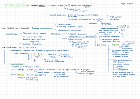 Evolucio.pdf