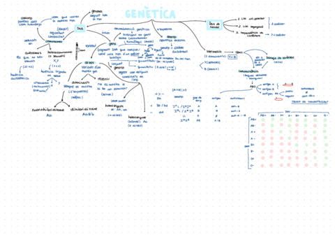 Esquema-Inicial-genetica.pdf