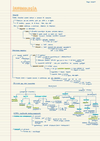 T.pdf