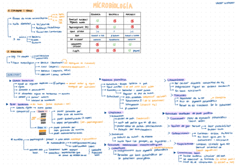 T5.pdf