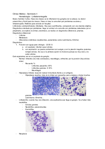 Sesion-4-Hematologia.pdf
