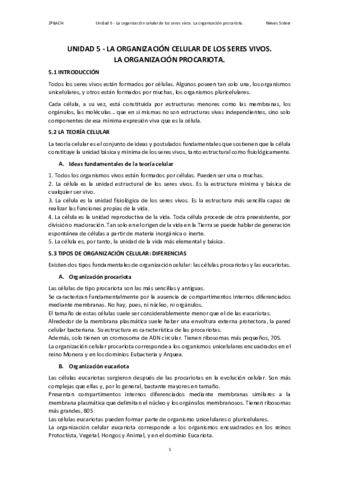 5.pdf