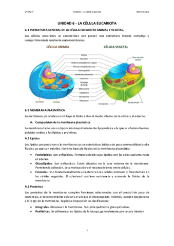 6.pdf