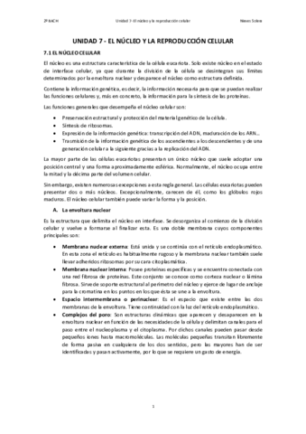 7.pdf