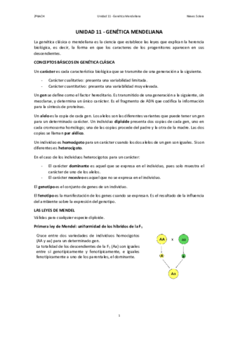 11.pdf