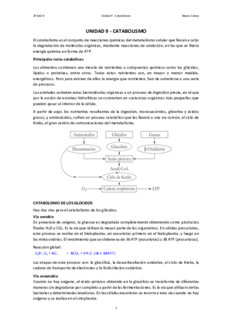 9.pdf