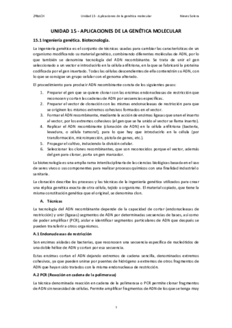 15.pdf
