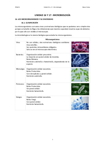 16y17.pdf
