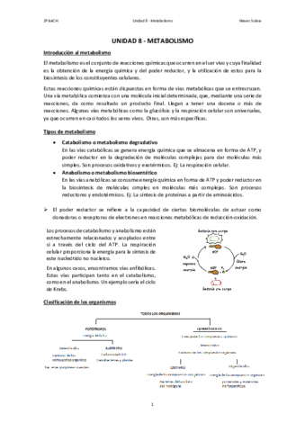 8.pdf