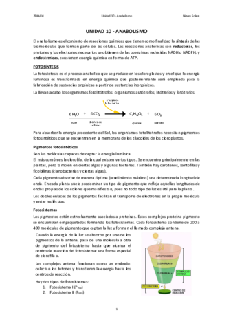 10.pdf