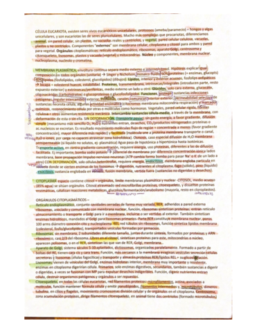 La-celula-eucariota.pdf