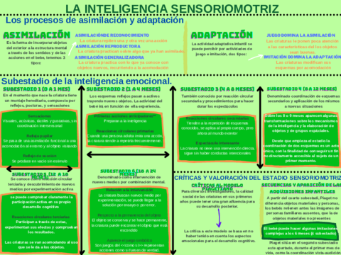 EL-DESARROLLO-COGNITIVO-DE-2-A-6-ANOS.pdf