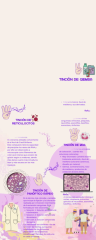 Video-de-la-infografia-de-Hematologia.mp4