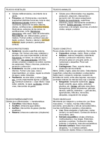 Tabla-de-tejidos.pdf