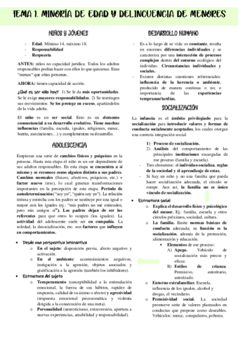 TEMA-1.pdf