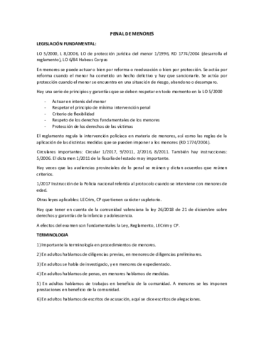 APUNTES-DCHO-PENAL-MENORES.pdf