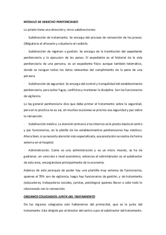 APUNTES-DERECHO-PENITENCIARIO-.pdf