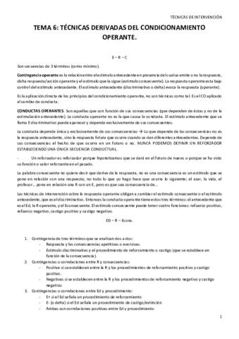 TEMA-6.pdf