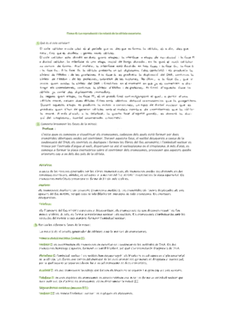 La-reproduccio-i-la-relacio-de-la-cellula-eucariota-esquema.pdf