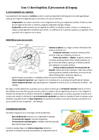 Tema-1.3.pdf