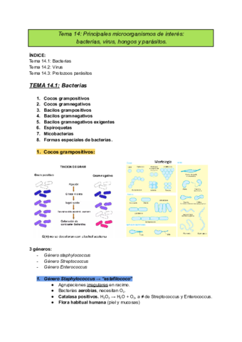 apuntes-T14-microbiologia.pdf